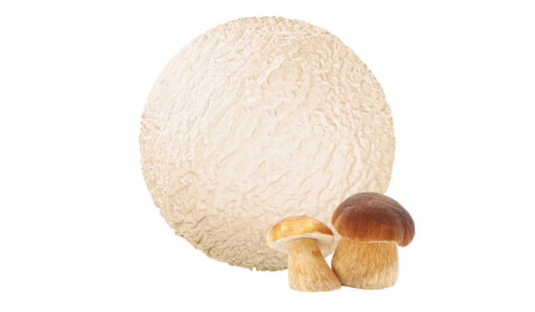 "Белые грибы" мороженое пломбир 20%, 1300 гр